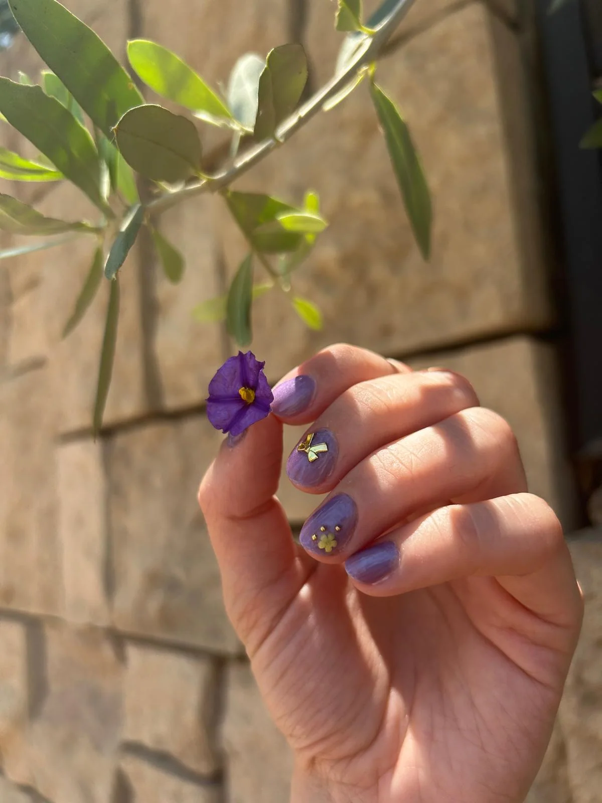 תוצאה אסתטית לאחר טיפול